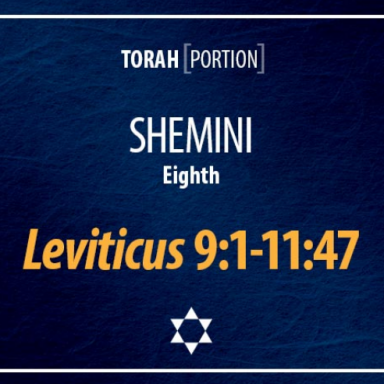 T26 - Shmini - Leviticus 9:1 - 11:47